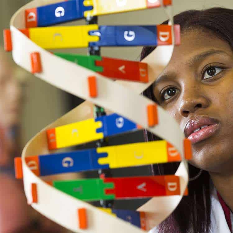 box_programs box_programs