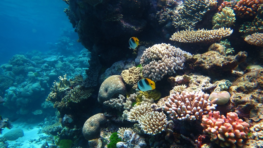 Great Barrier Reef