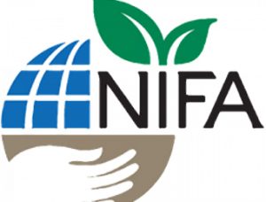 NIFA Logo