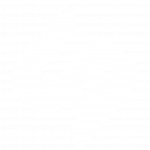 speidr logo
