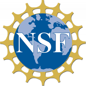 National Science Foundation International Research Experiences for Students (IRES) grant award