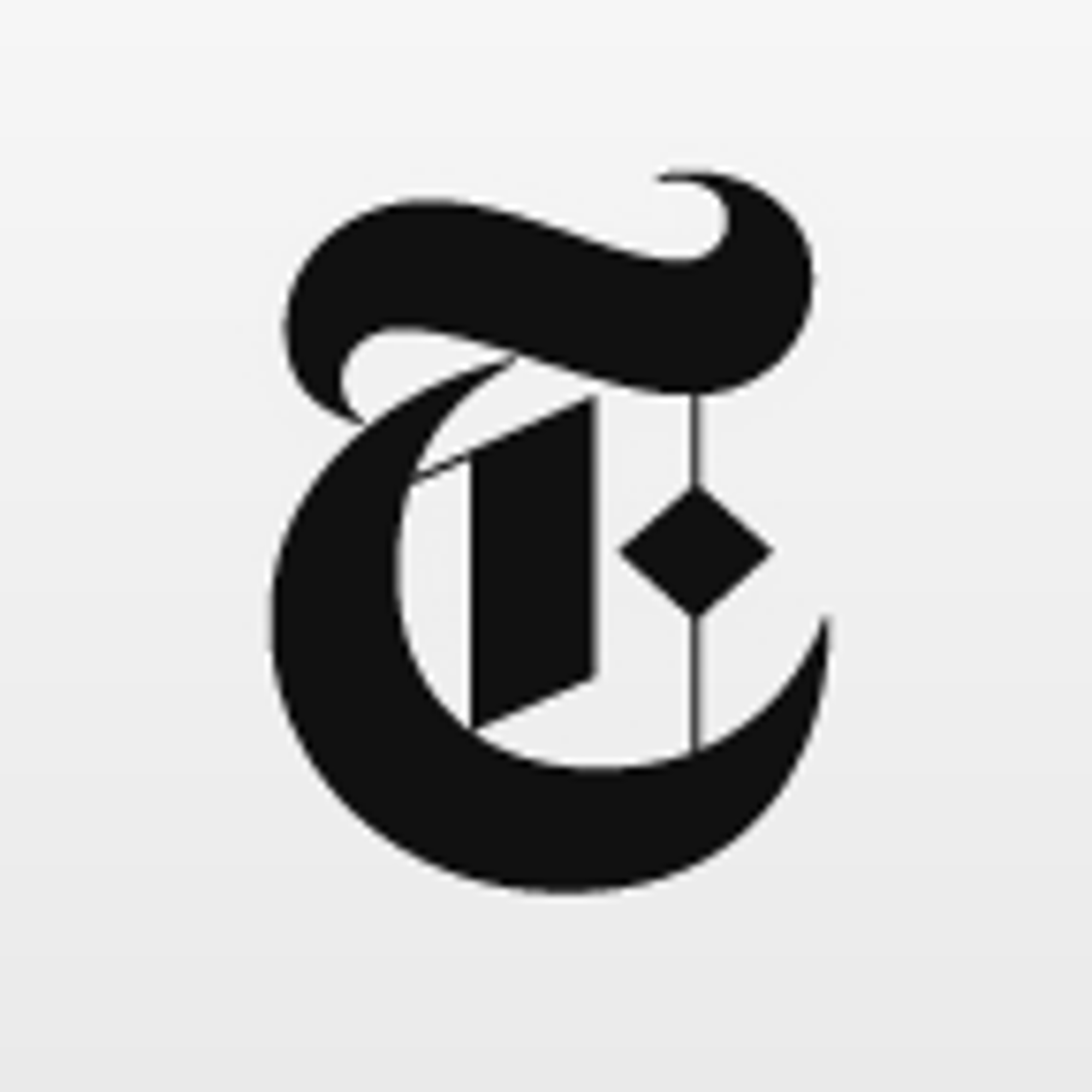 NYT Icon