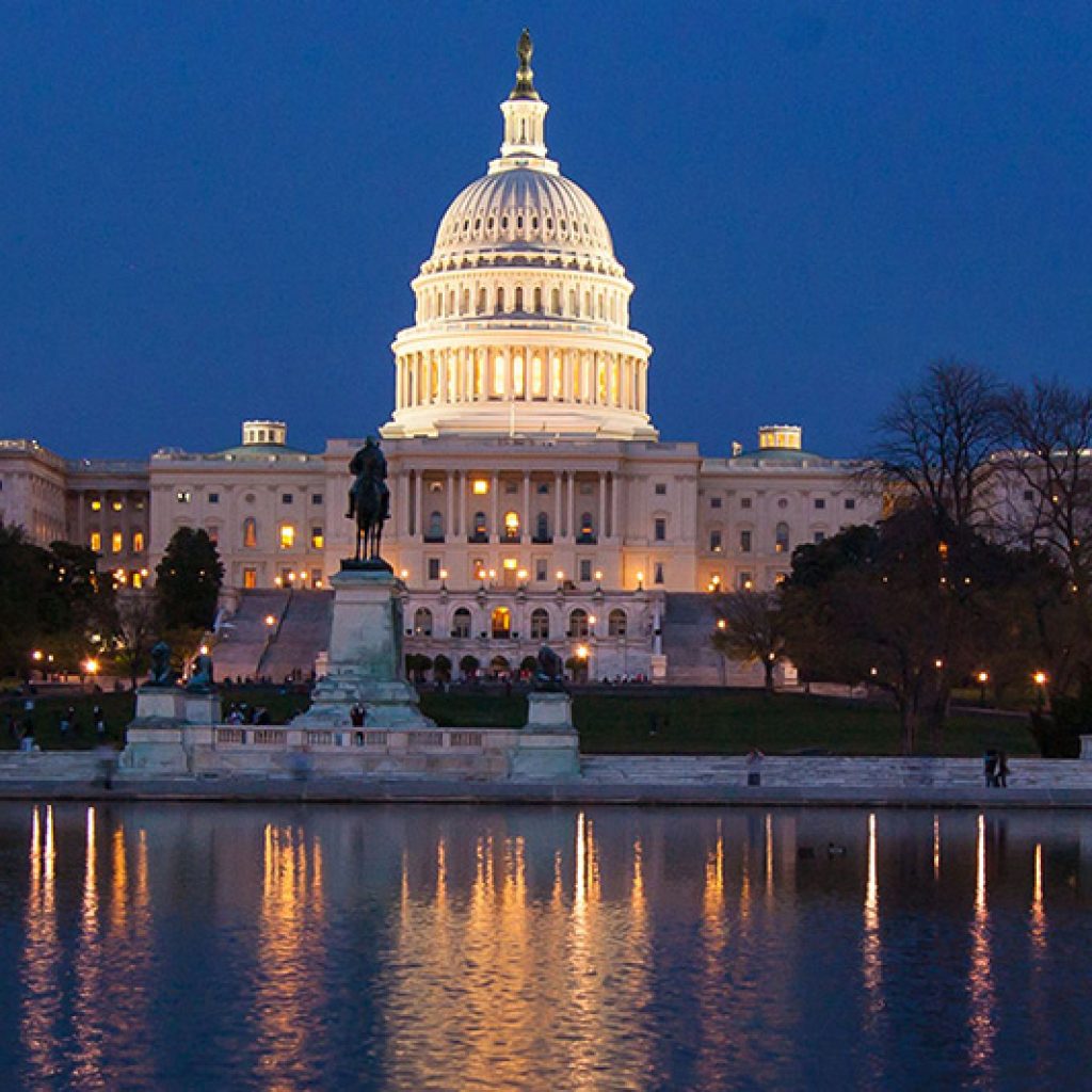 American National Government