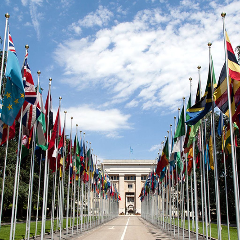 International Politics