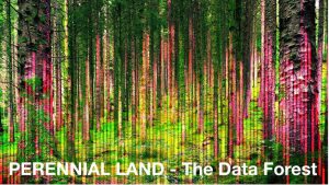 Perennial Land - the data forest digital design