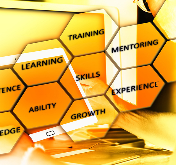 Alliance Training