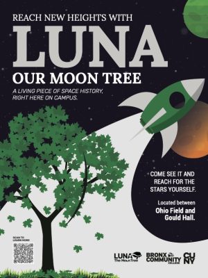 luna-tree-flyer-regular-print