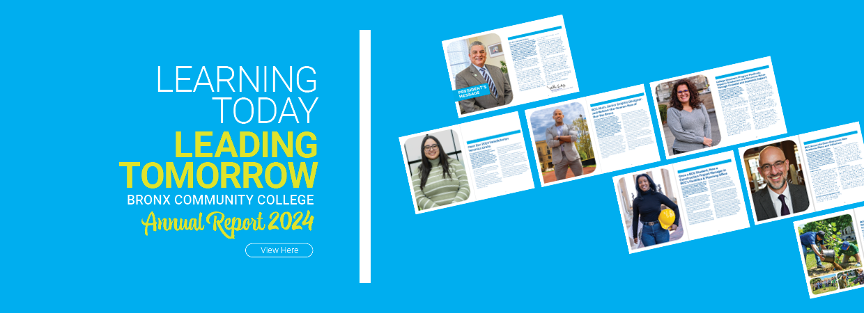 BCC Annual Report 2024