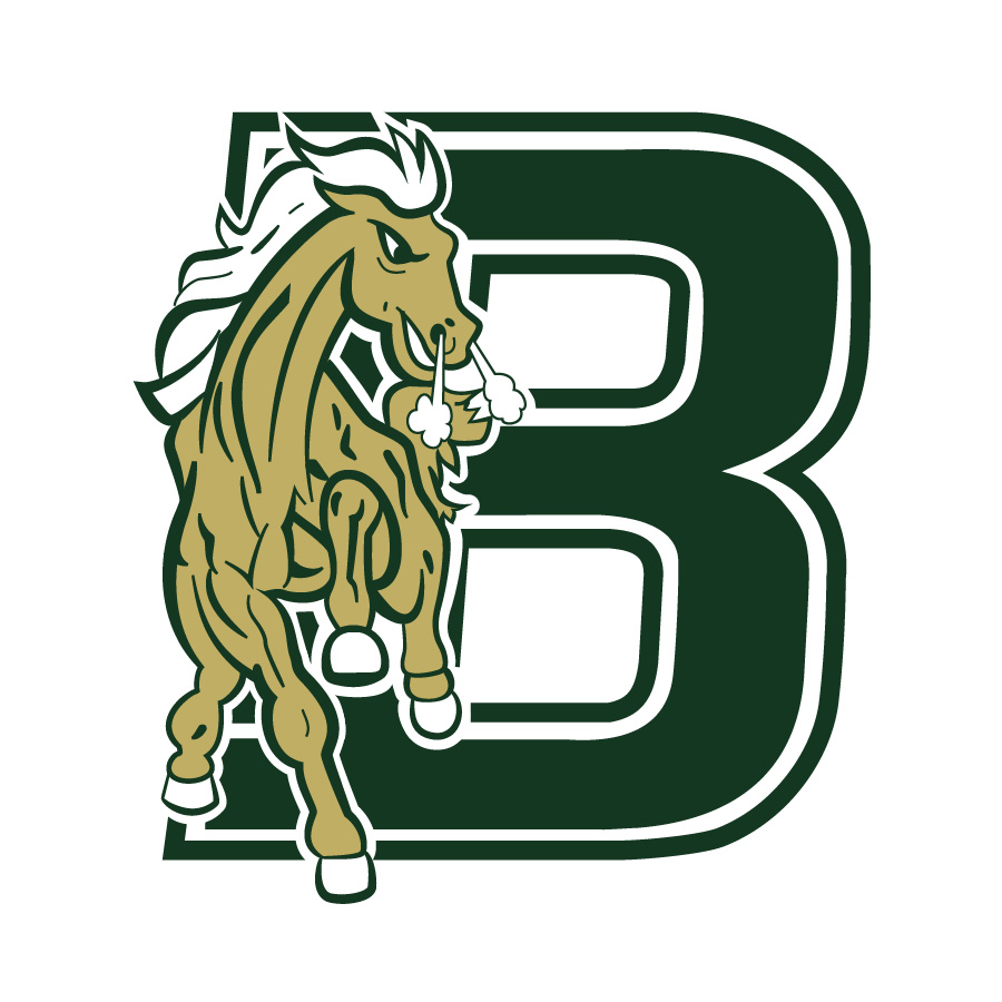 Bronco