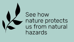 See how nature protects us from natural hazards
