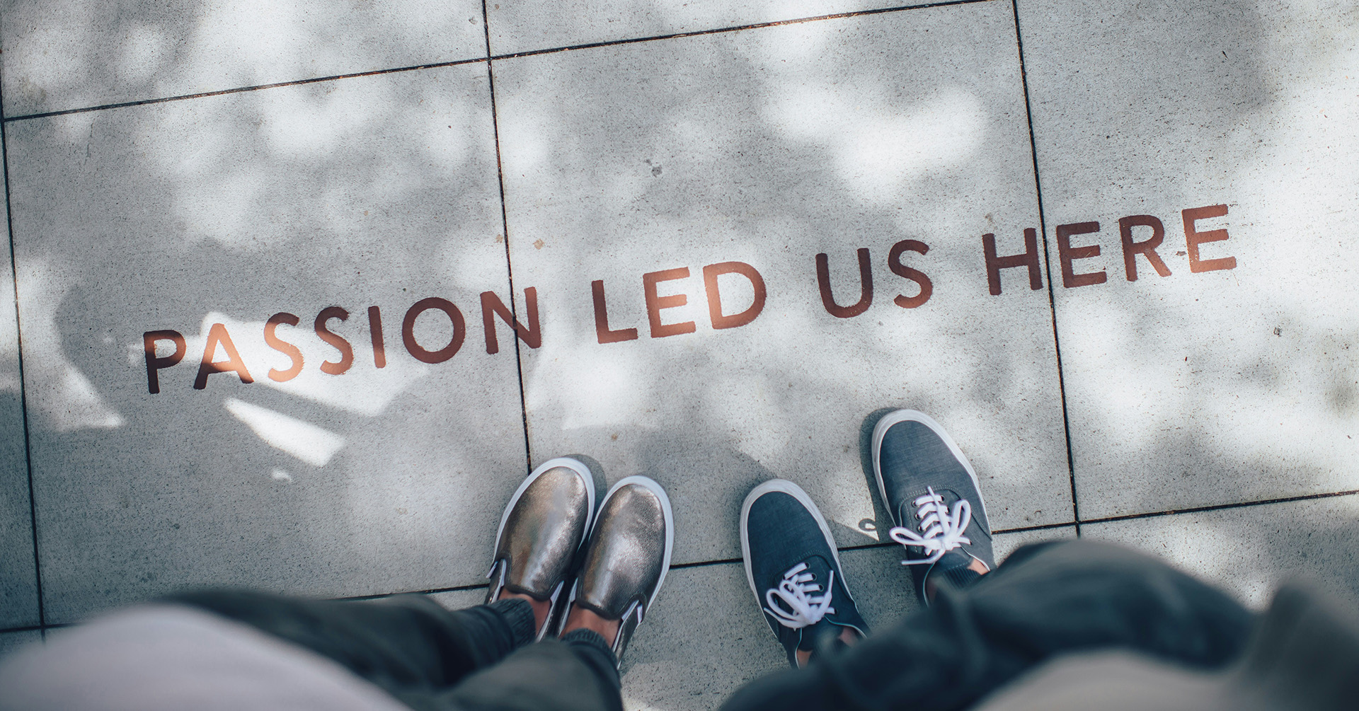 Header - Career Development