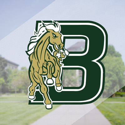 BCC Brand Identity - Bronco Logo