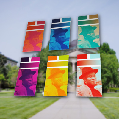 BCC Visual Identity graphic