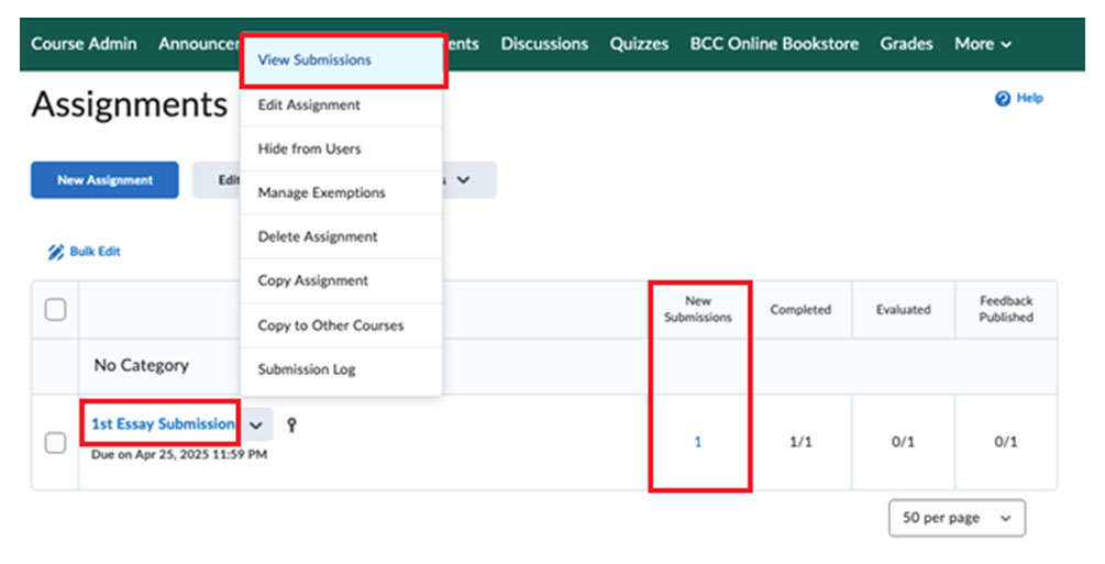 BrightSpace: Access Assignment Submissions