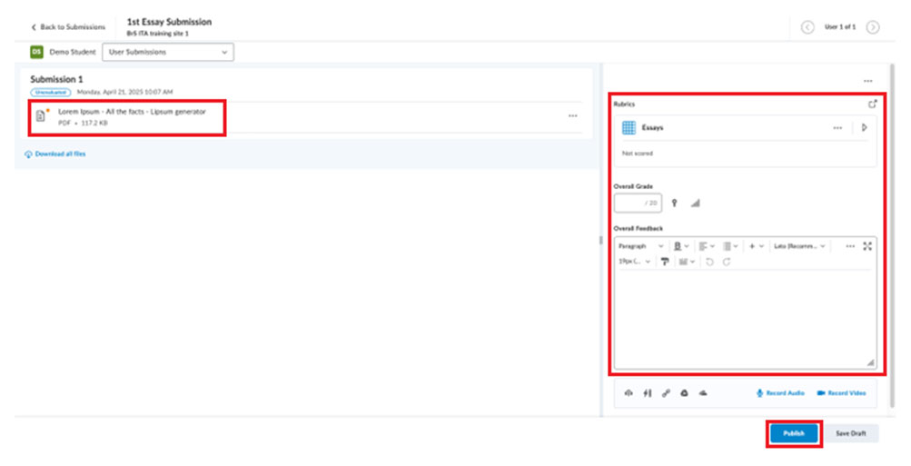 BrightSpace: Assignment Submissions And Details
