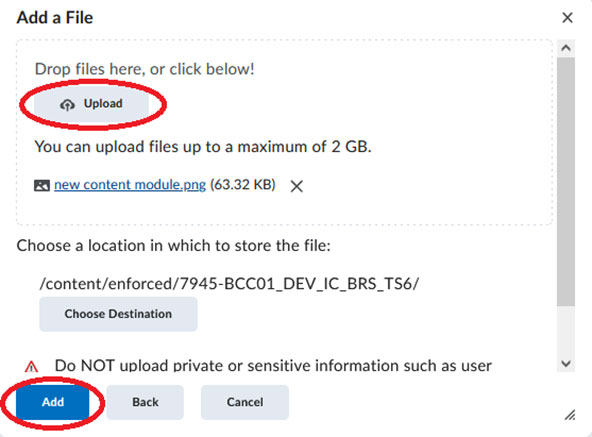 BrightSpace: Content Added to Module