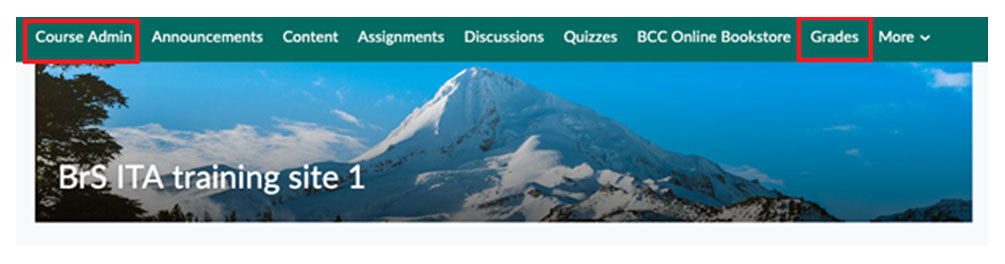 BrightSpace: Go Grade All In Grade Tool