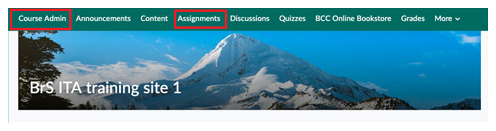 BrightSpace: Go To Grade Assignments