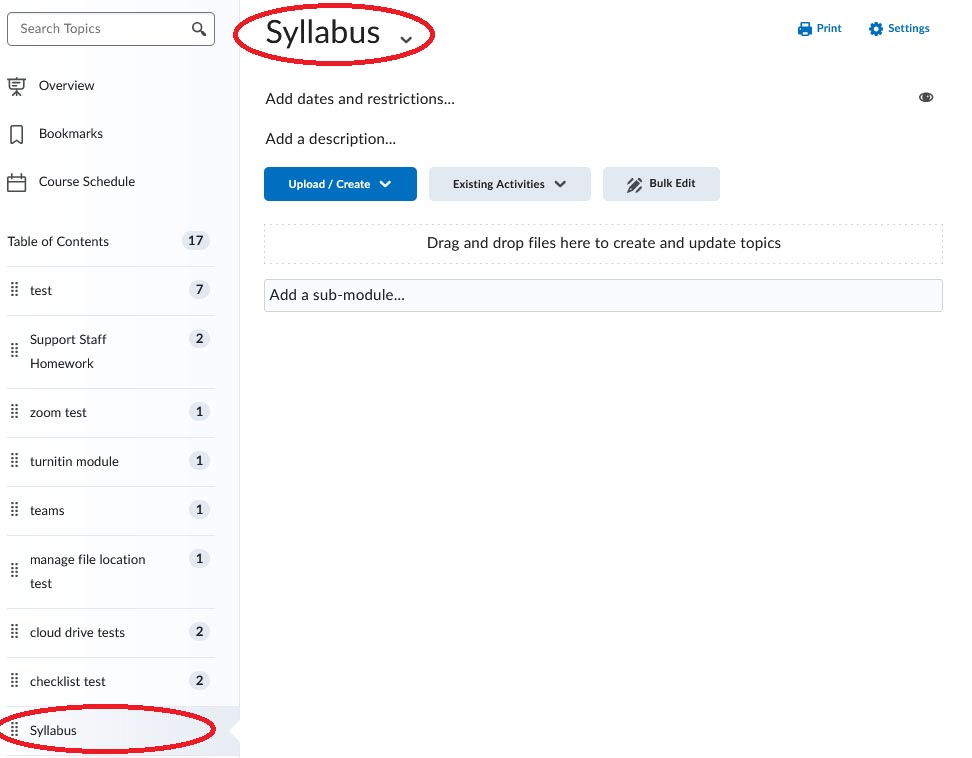 BrightSpace: New Content Module