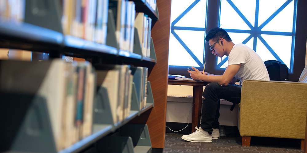 Student studying in the library