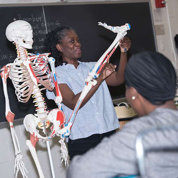 Professor using skeleton for demonstration