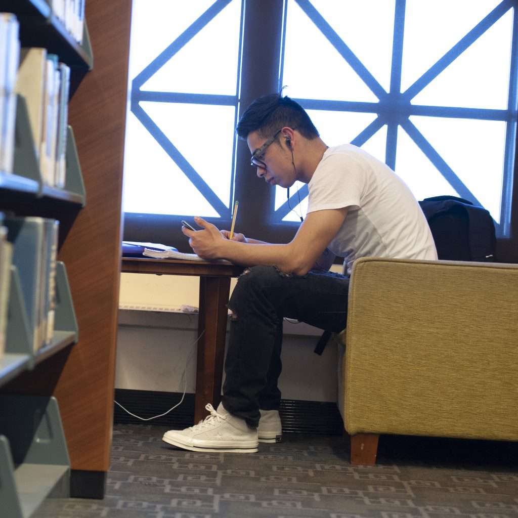 Student studying in the library