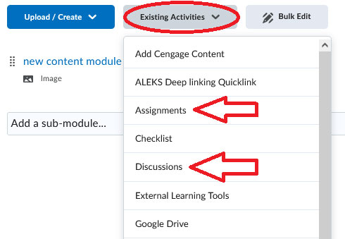 BrightSpace Existing Activities button
