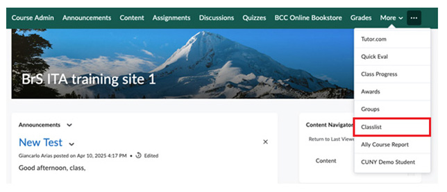 Brightspace Sending Email - Select Class list