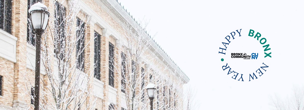 Happy Bronx New Year!