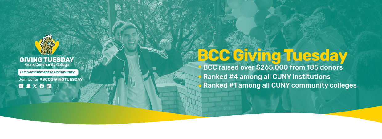 Giving Tuesday Web Banner showing stats for the campaign.