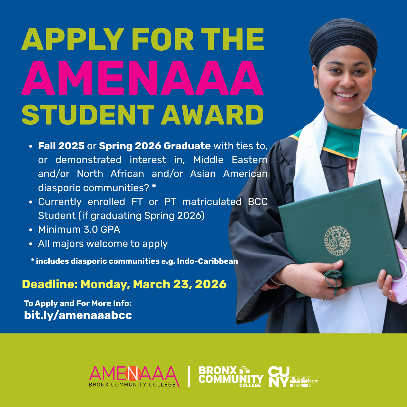 AMENAAA Student Award